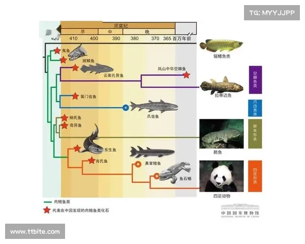 杀兰球的独特魅力与发展历程:从起源到现代竞技的演变分析 杀兰球的独特魅力与发展历程:从起源到现代竞技的演变分析